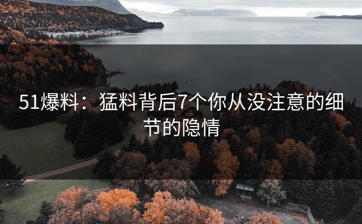 51爆料：猛料背后7个你从没注意的细节的隐情