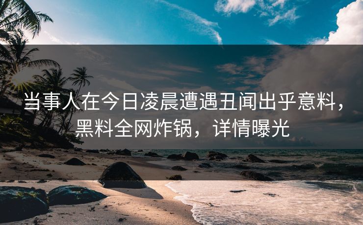 当事人在今日凌晨遭遇丑闻出乎意料，黑料全网炸锅，详情曝光