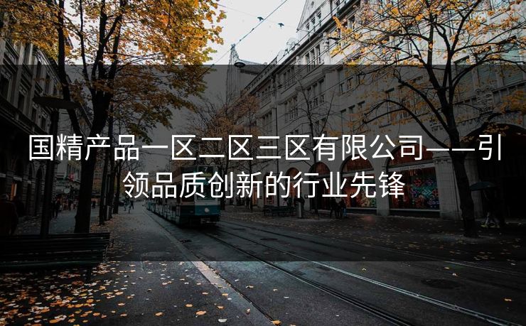 国精产品一区二区三区有限公司——引领品质创新的行业先锋