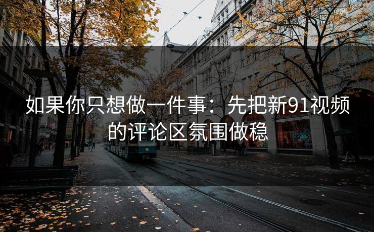 如果你只想做一件事：先把新91视频的评论区氛围做稳
